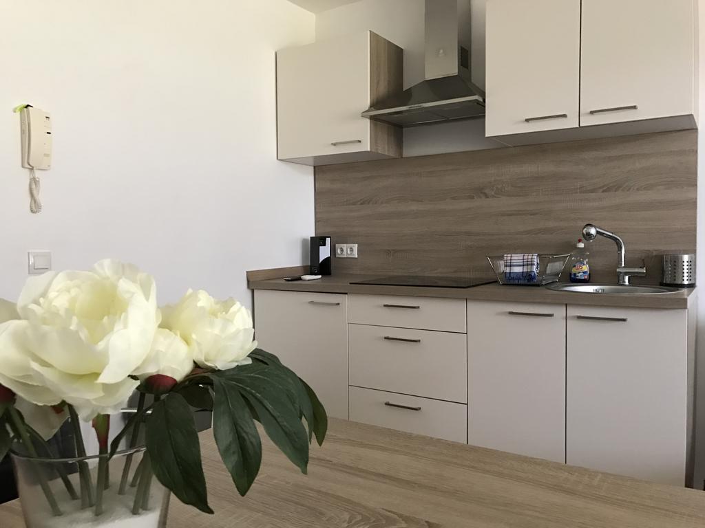 Ferienwohnung Apartmaji Manita Moravske Toplice Exterior foto